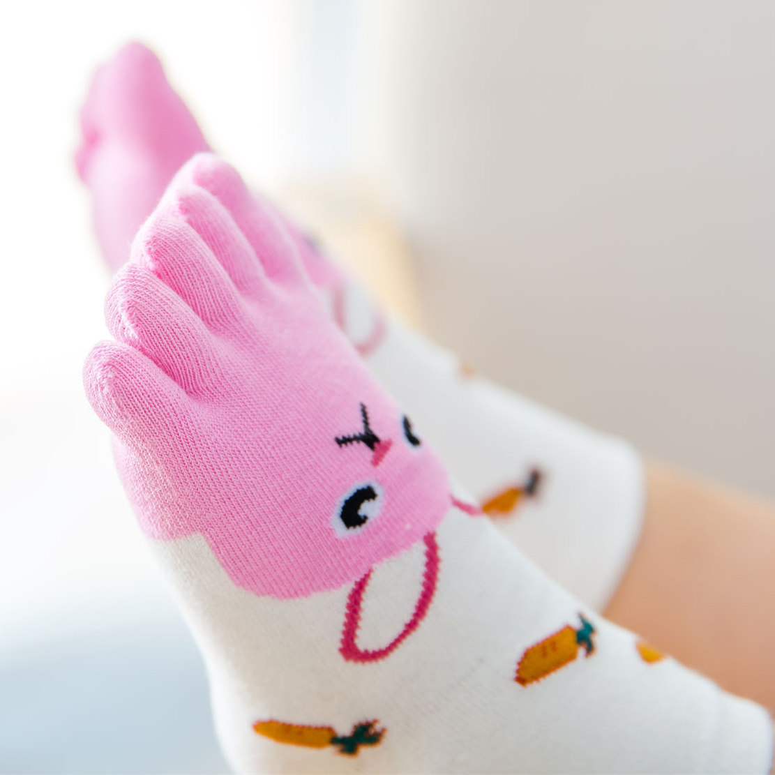 5 Pairs Children Cartoon Socks - Baby Food Dogs ulasan dan harga